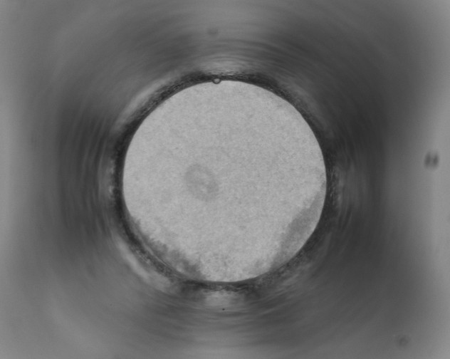 X0000112090400200909151141