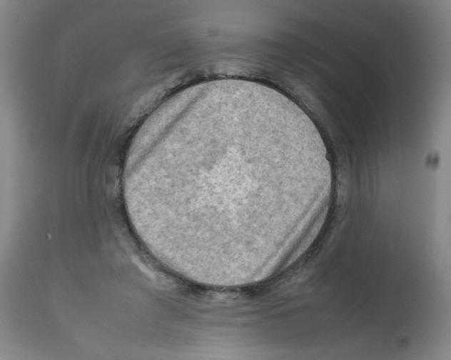 X0000112090401200909151141