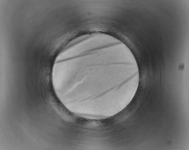X0000112090402200909151141