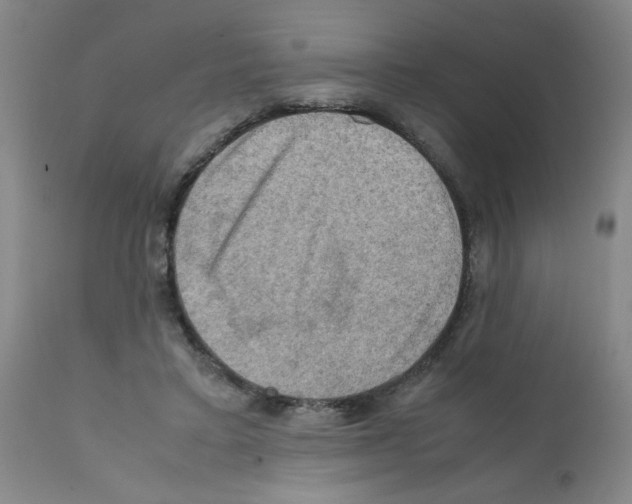 X0000112090403200909151141