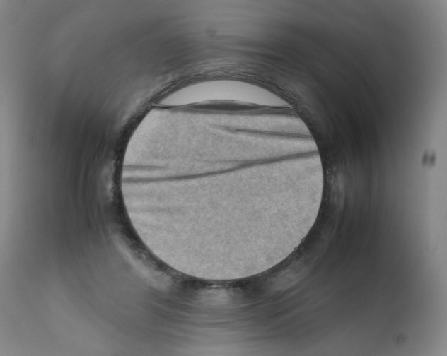 X0000112090404200909151141