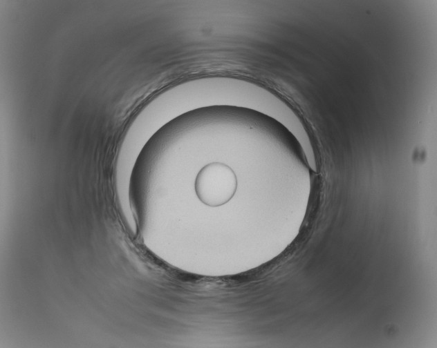 X0000112090405200909151141