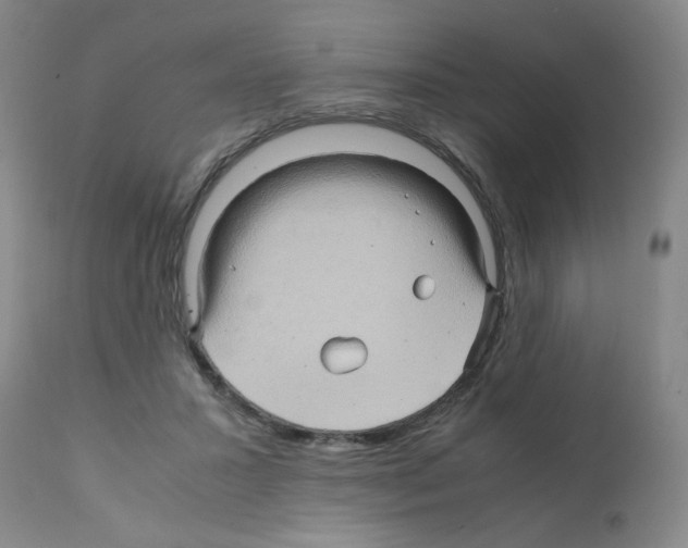 X0000112090407200909151141