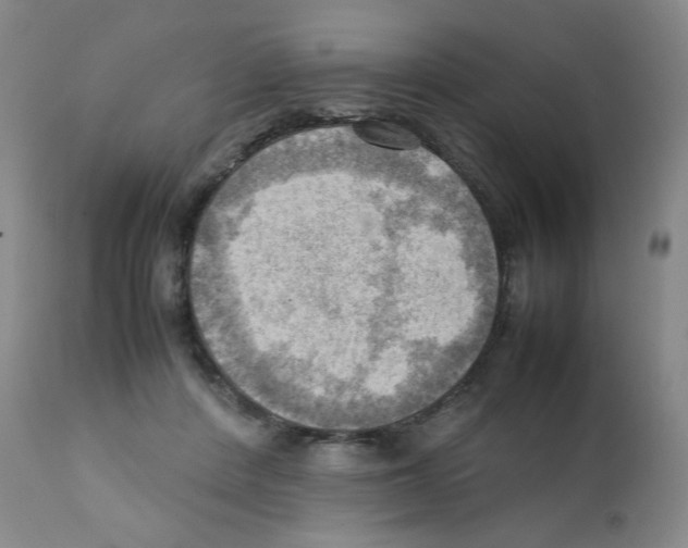 X0000112090408200909151141