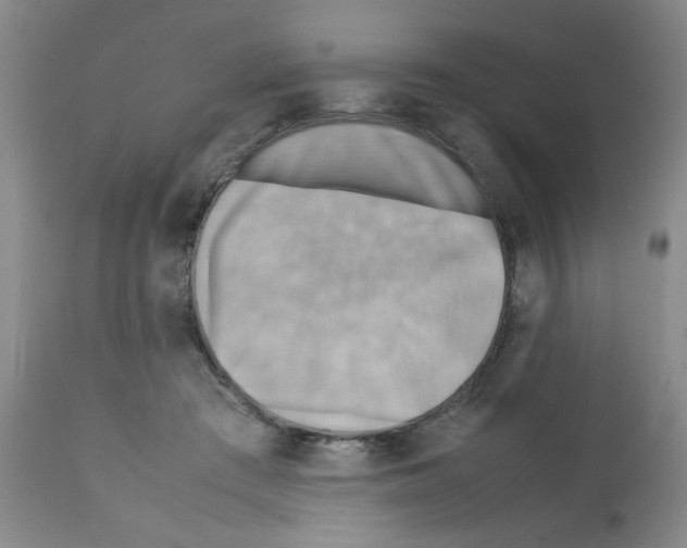 X0000112090409200909151141