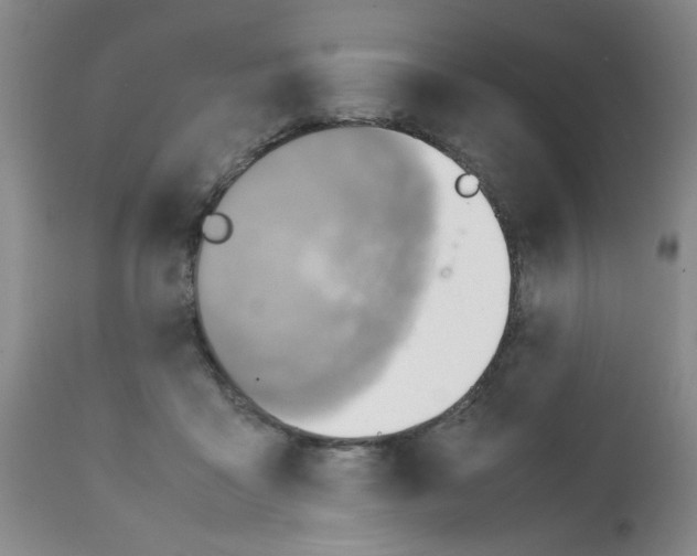 X0000112090411200909151141