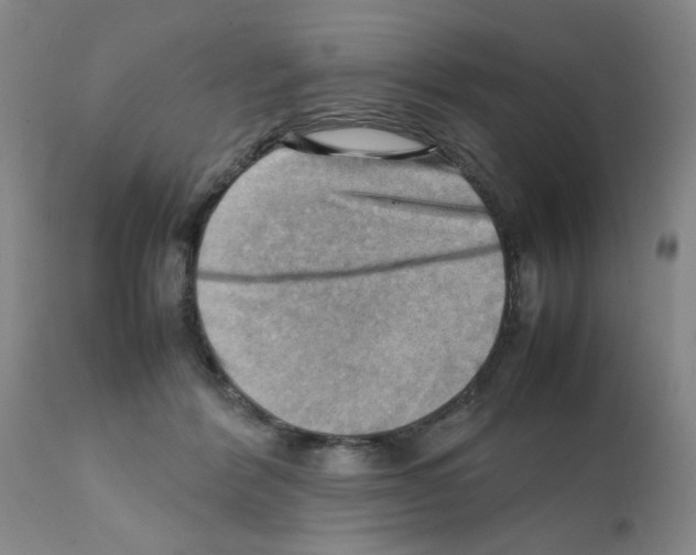 X0000112090412200909151141