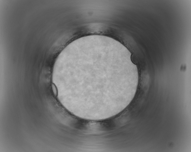 X0000112090413200909151141