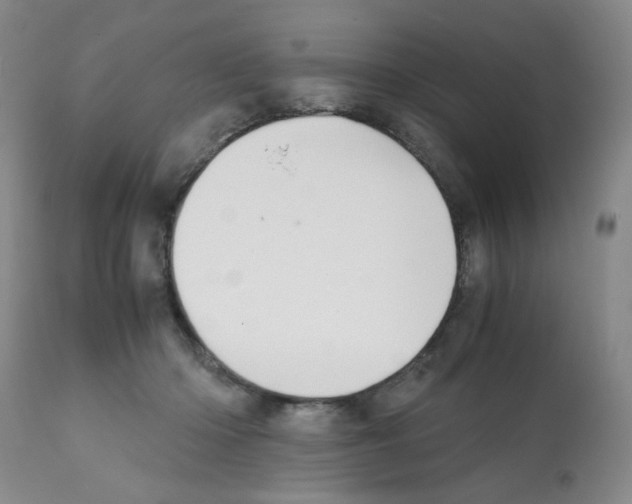 X0000112090414200909151141