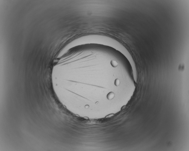 X0000112090415200909151141