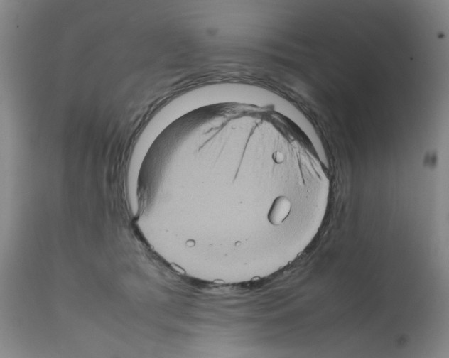 X0000112090417200909151141