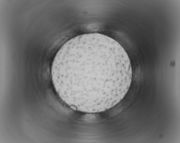 X0000112090418200909151141