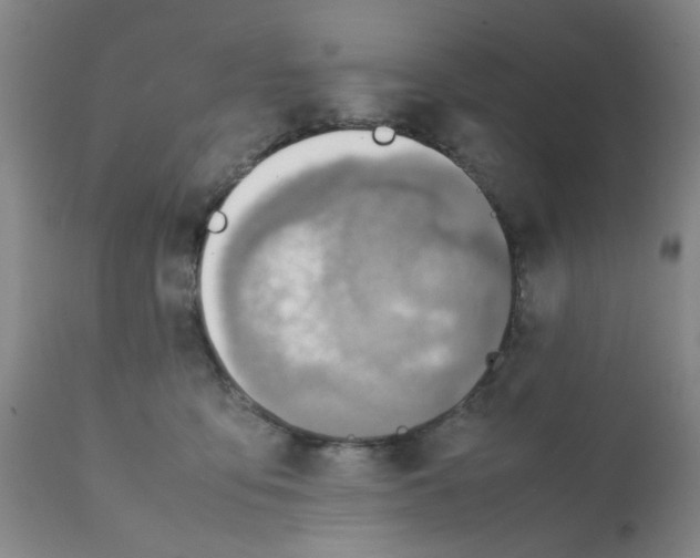 X0000112090419200909151141