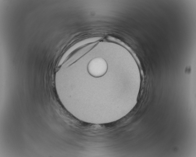 X0000112090421200909151140