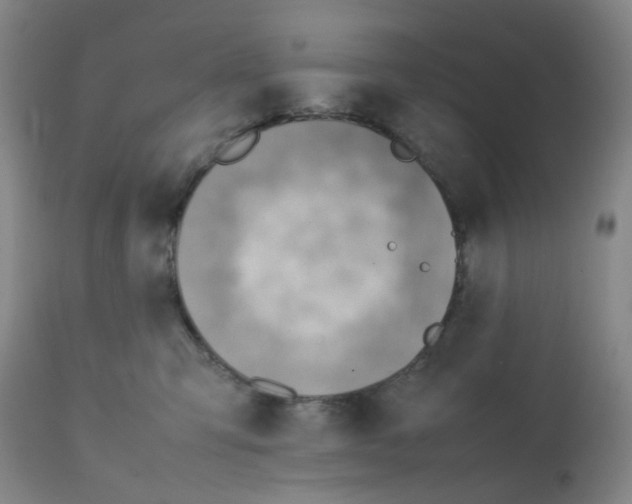 X0000112090423200909151140