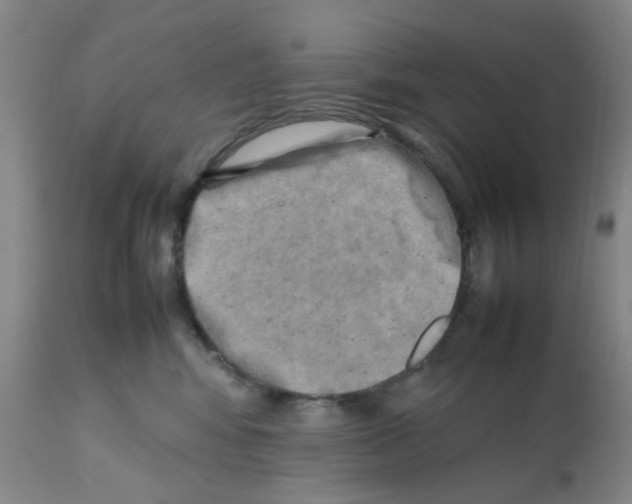 X0000112090424200909151140