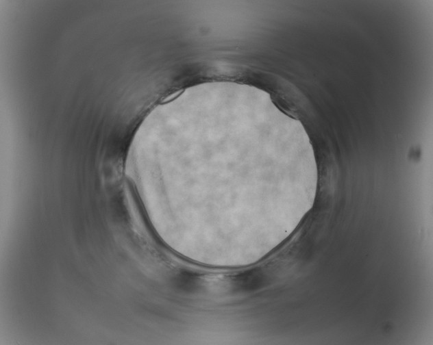 X0000112090425200909151140