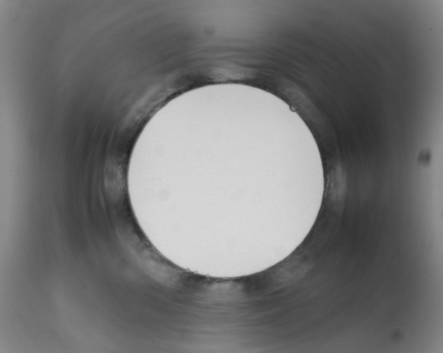 X0000112090426200909151140