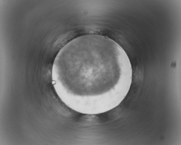 X0000112090427200909151140