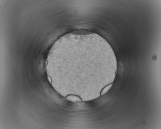 X0000112090428200909151140