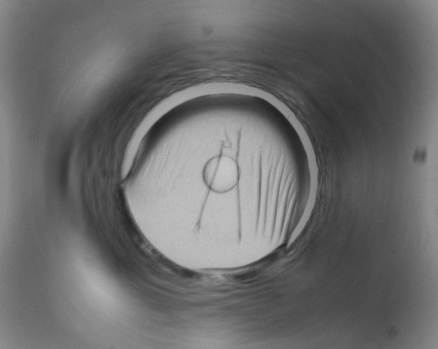 X0000112090429200909151140