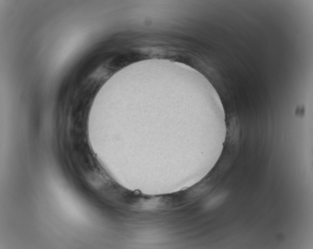 X0000112090430200909151140