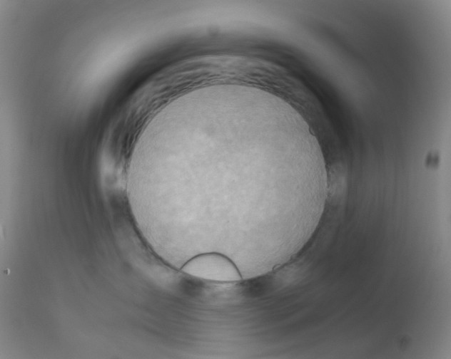 X0000112090431200909151140