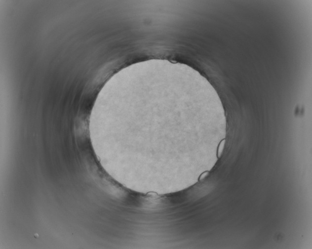 X0000112090432200909151140