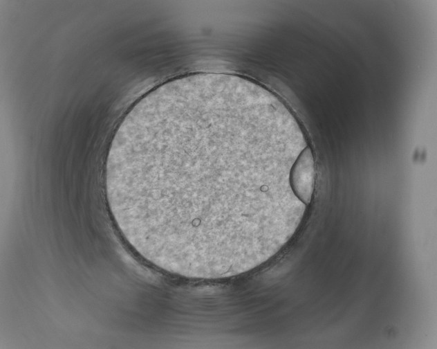 X0000112090433200909151140