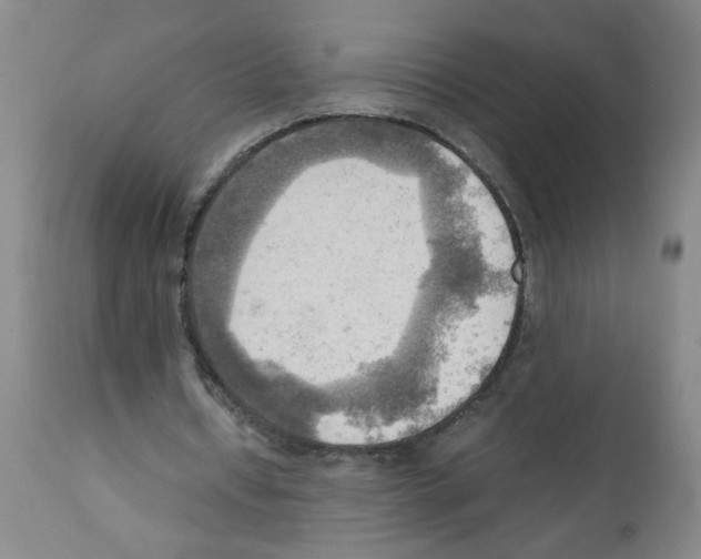 X0000112090434200909151140
