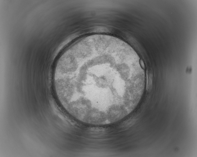 X0000112090435200909151140