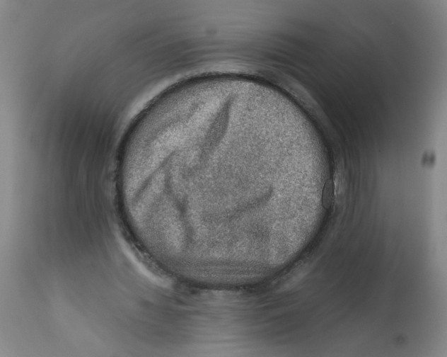X0000112090436200909151140