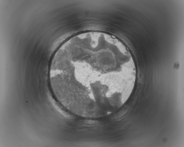 X0000112090437200909151140