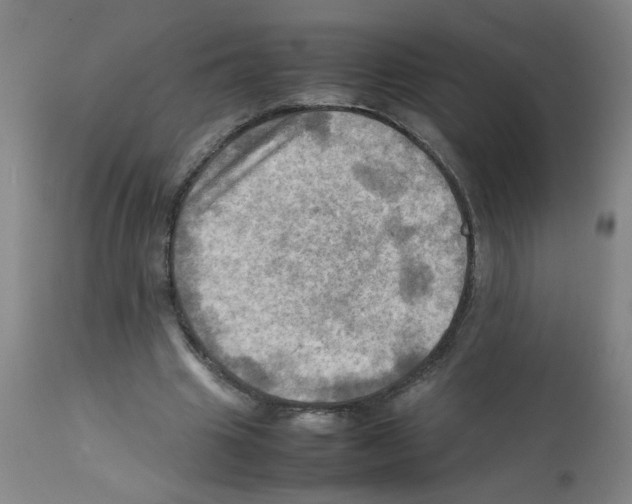 X0000112090441200909151140