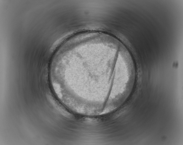 X0000112090442200909151140
