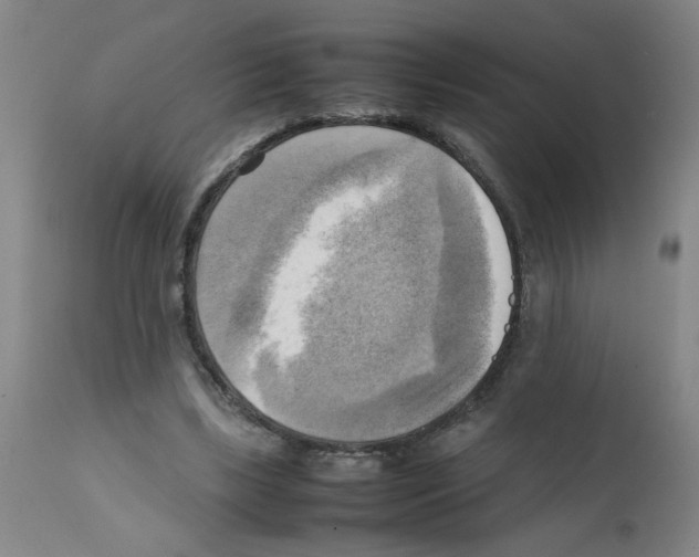X0000112090443200909151140