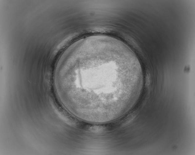 X0000112090444200909151140