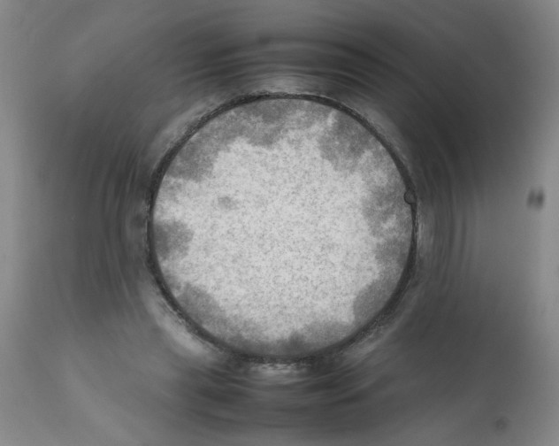 X0000112090445200909151140