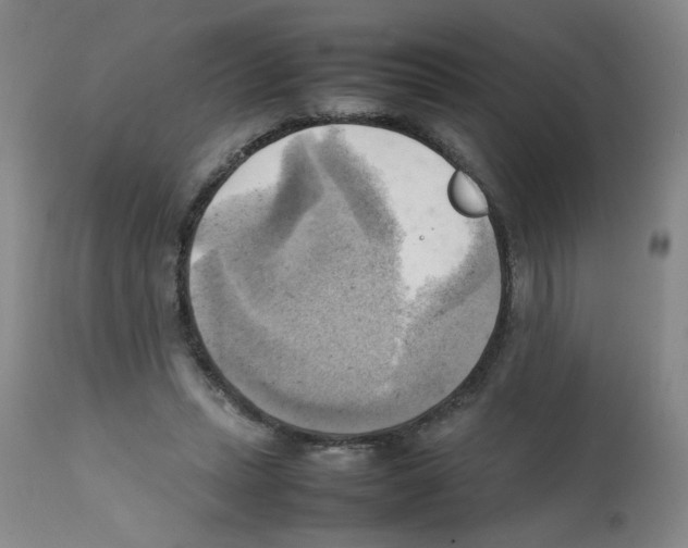 X0000112090447200909151140