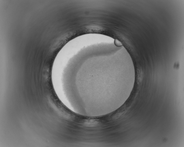 X0000112090451200909151140