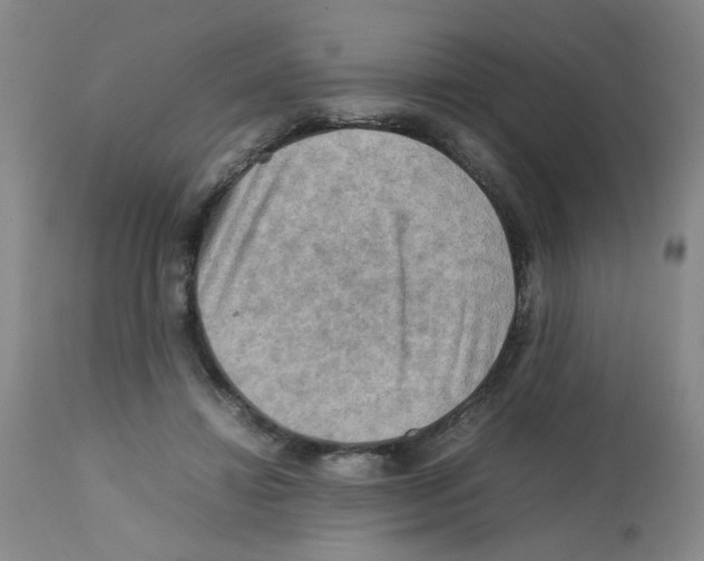 X0000112090452200909151140