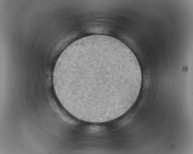 X0000112090453200909151140