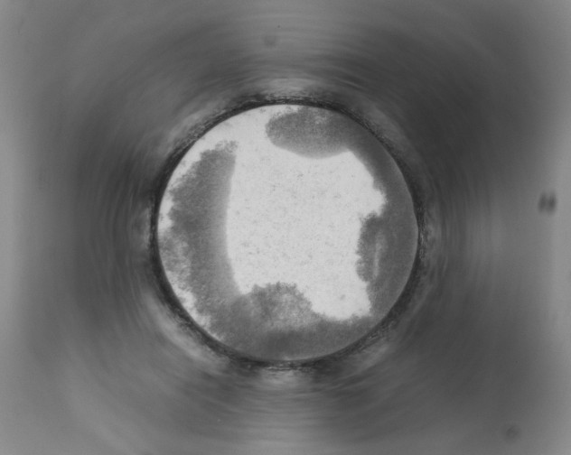 X0000112090454200909151140