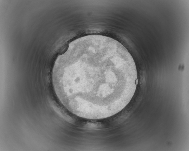 X0000112090455200909151140