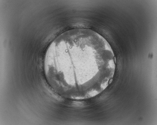 X0000112090457200909151140