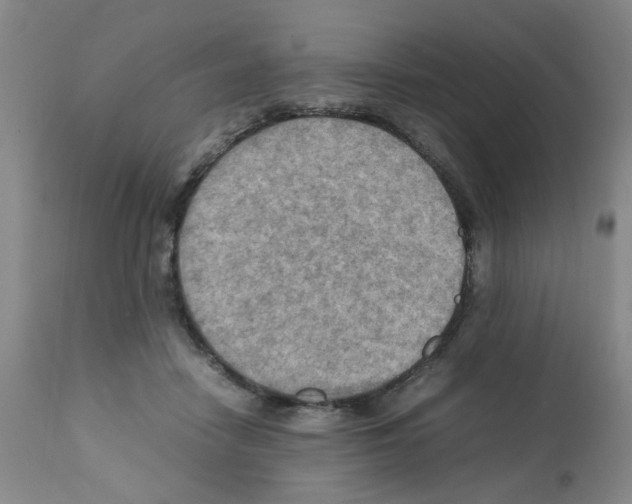 X0000112090458200909151140