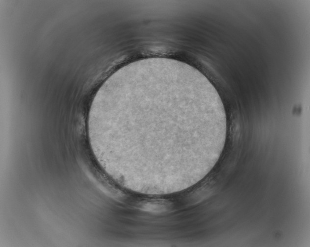X0000112090459200909151140