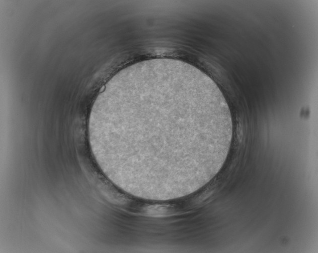 X0000112090461200909151140