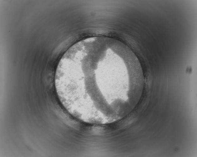 X0000112090462200909151140