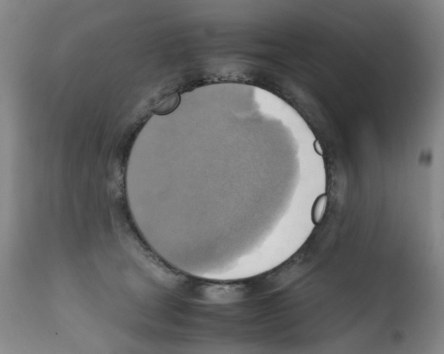 X0000112090465200909151140